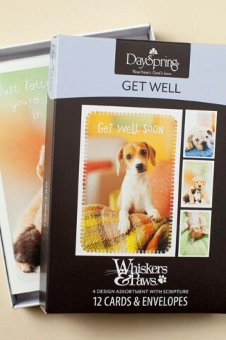 081983508837 Whiskers And Paws Get Well