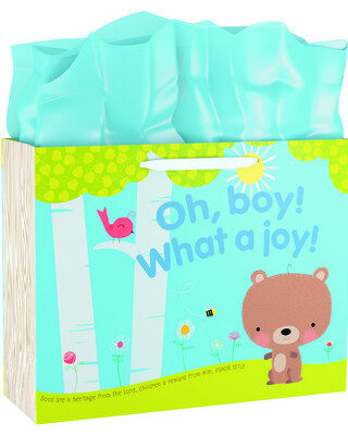 081983570803 Baby Boy Specialty Gift Bag