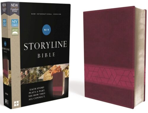 9780310080220 Storyline Bible Comfort Print