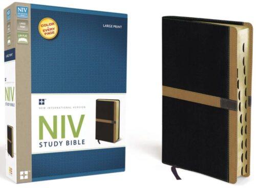 9780310428985 Study Bible Large Print