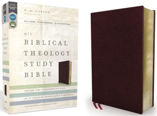 9780310450559 Biblical Theology Study Bible Comfort Print