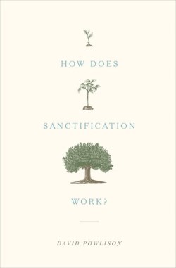 9781433556104 How Does Sanctification Work