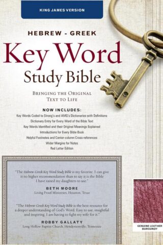 9781617159848 Hebrew Greek Key Word Study Bible