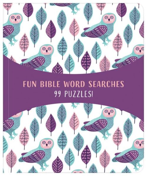 9781643520933 Fun Bible Word Searches 99 Puzzles