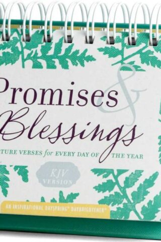 9781644549360 Promises And Blessings KJV Version DayBrightener