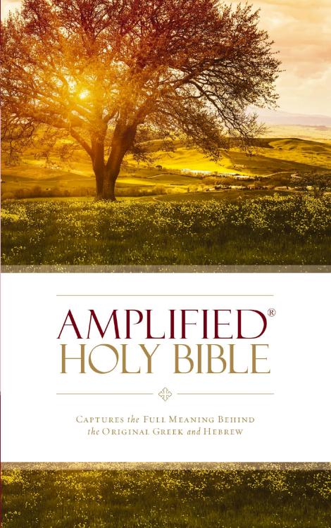 9780310443902 Amplified Bible