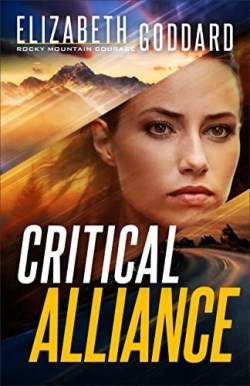 9780800738006 Critical Alliance