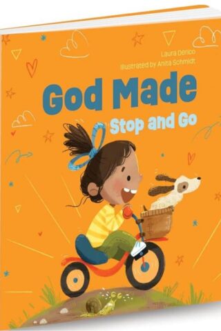 9780830784325 God Made Stop And Go