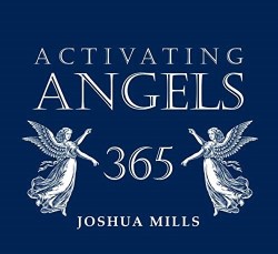 9781619170063 Activating Angels 365