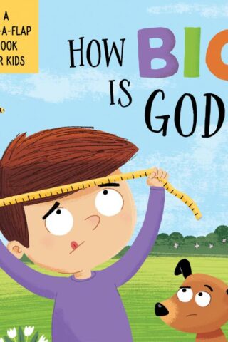 9781643528809 How BIG Is God