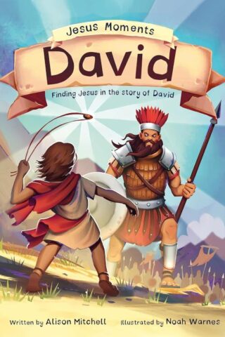 9781784989408 Jesus Moments David