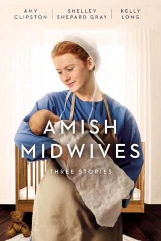 9780310363224 Amish Midwives