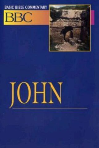 9780687026395 John : NRSV And NIV