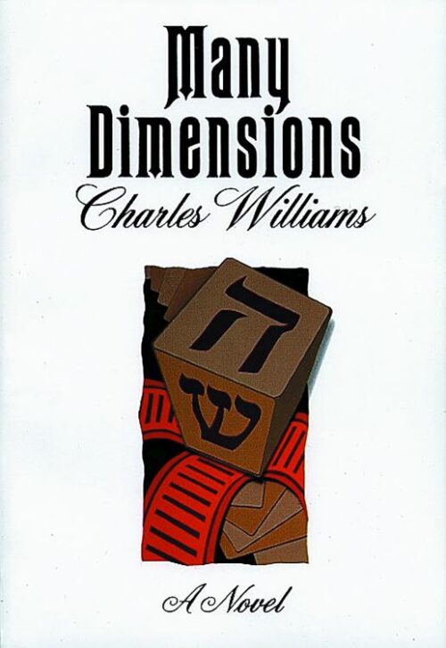 9780802812216 Many Dimensions : A Novel