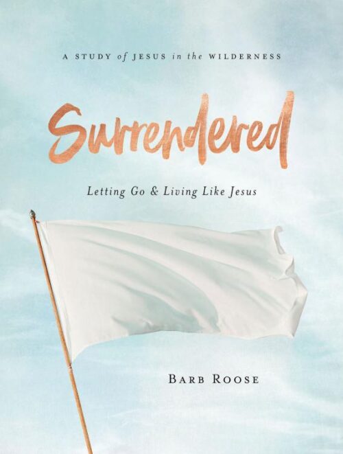 9781501896286 Surrendered Participant Workbook (Workbook)