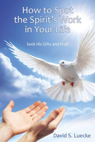 9781512752748 How To Spot The Spirits Work In Your Life