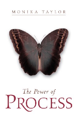 9781591606093 Power Of Process