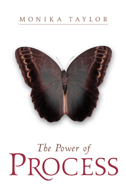 9781591606109 Power Of Process
