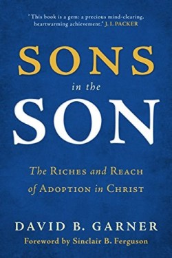 9781629950723 Sons In The Son