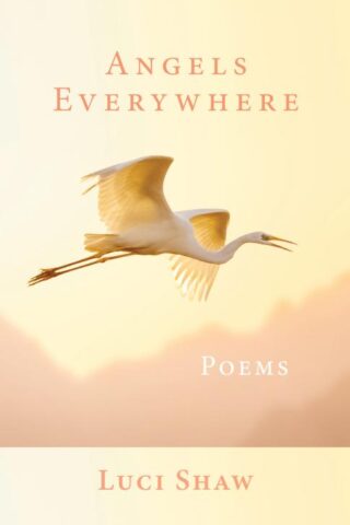 9781640607200 Angels Everywhere : Poems