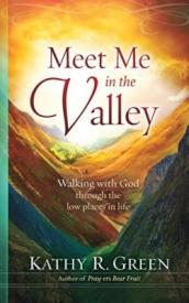 9781683142058 Meet Me In The Valley