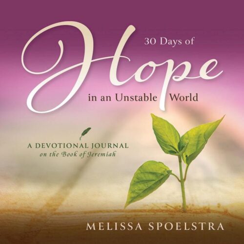 9781791039257 30 Days Of Hope In An Unstable World