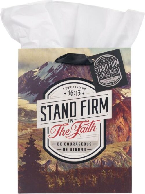 1220000323902 Medium Portrait Inspirational Scripture Gift Bag