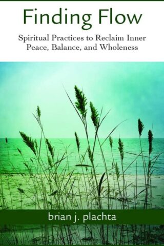 9780809155576 Finding Flow : Spiritual Practices To Reclaim Inner Peace