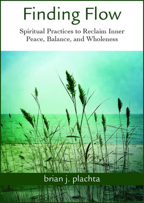 9780809155576 Finding Flow : Spiritual Practices To Reclaim Inner Peace
