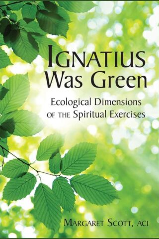 9780809157167 Ignatius Was Green
