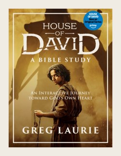 9780830789610 House Of David A Bible Study