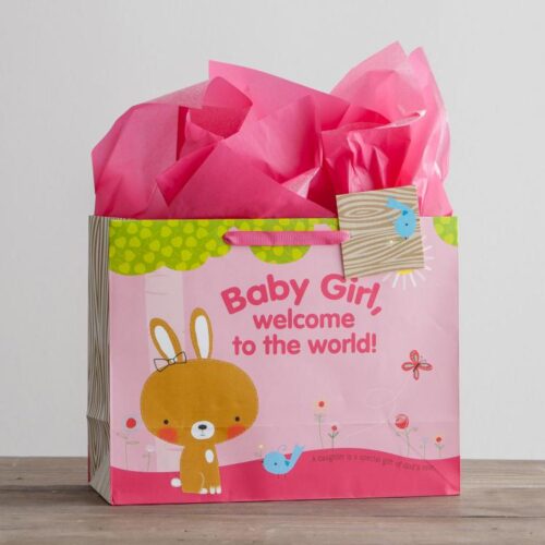 081983570810 Baby Girl Specialty Gift Bag