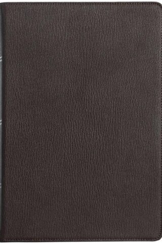 9781087722184 Large Print Thinline Bible