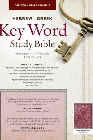9781617155185 Hebrew Greek Key Word Study Bible