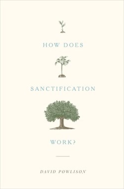 9781433556104 How Does Sanctification Work