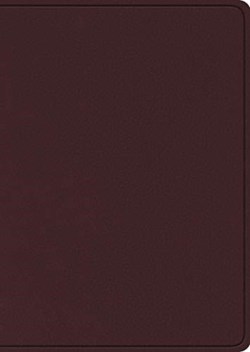 9781433575938 Study Bible Large Print