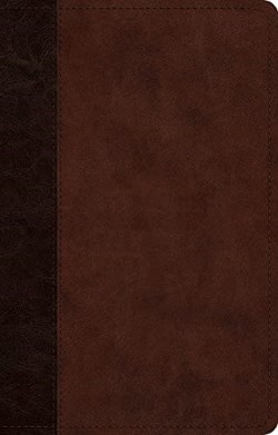 9781433581670 Large Print Thinline Reference Bible