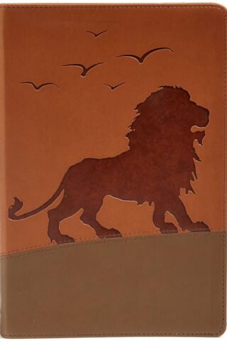 9781535990639 1 Big Story Bible