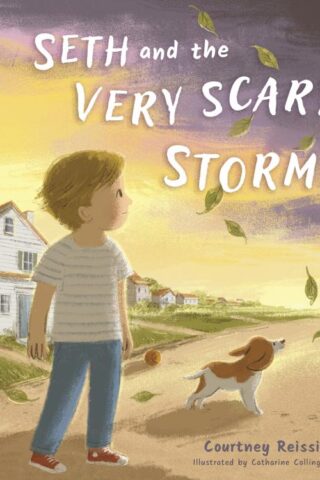 9798384529781 Seth And The Very Scary Storm